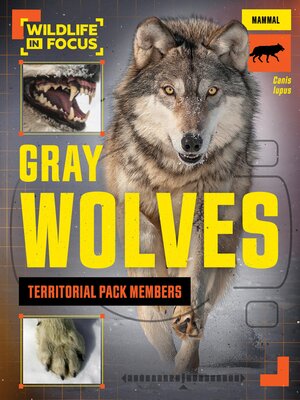 cover image of Gray Wolves